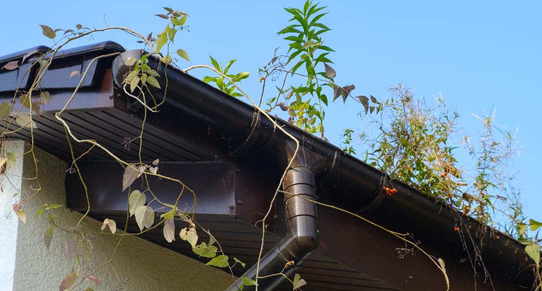 Installation gouttière
